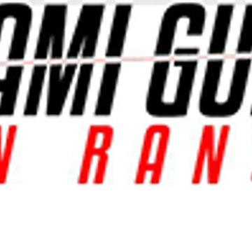 Miamigunsinc