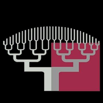 Université Paris Descartes