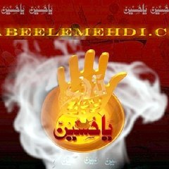 Sabeel E Mehdi