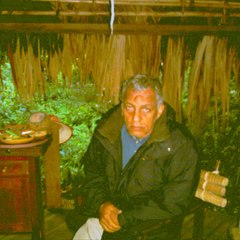 ylangco