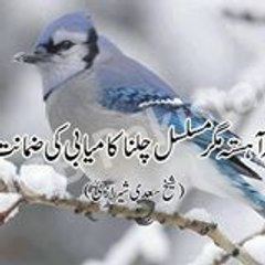 SAJO Malik
