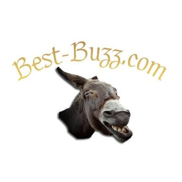 Profil DailyMotion de l&rsquo;utilisateur Best Buzz !
