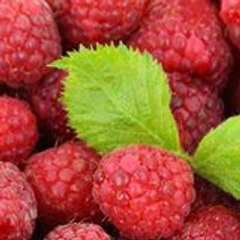 magdy karam