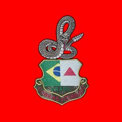 Equipecobrasdocerrado
