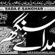 Daily News Web