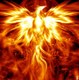 Megaphoenix 27950