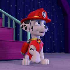 Paw patrol fan