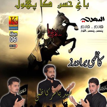 Kazmi Brothers