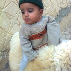 Zafar