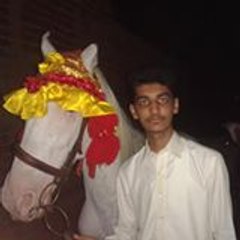Hammad Hammad Hasan