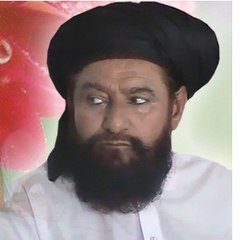 Allama Ahmed Saeed Khan