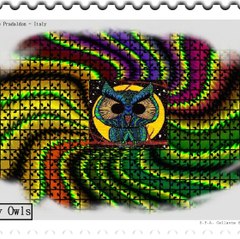 Hippy Owls