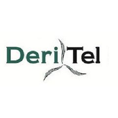 www.deritel.com