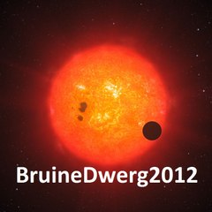 BruineDwerg2012