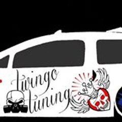 Twingo Tuning