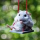 Cute Animals