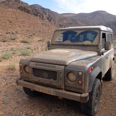 Les dromoises des sables