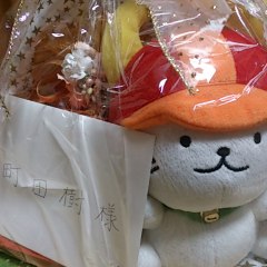 kazu_aoi
