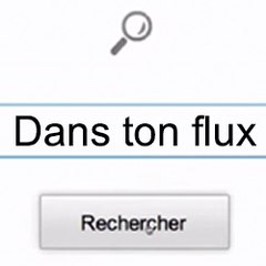 DansTonFlux