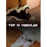 top10videolar