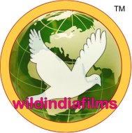 Wildindiafilms