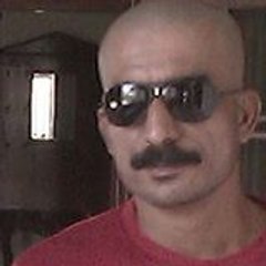 Majid56772