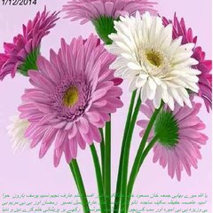 Juma8anwarیا اللہ سلامت خوشحالی کامیابی