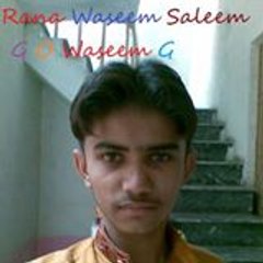 Rana Waseem