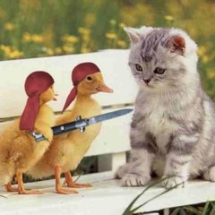 Urdu Fun Maza 4 You