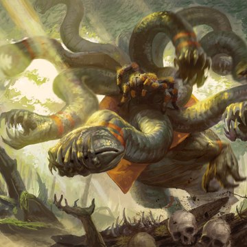 Hydra