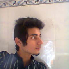Hamid Hemo