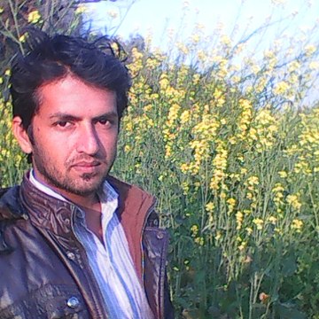 Saleem Malik Saani