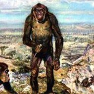 Australopithecos Afarensis
