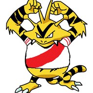 electabuzz2014