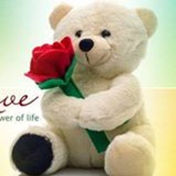 Abdul Hameed