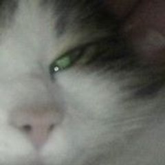 Mette