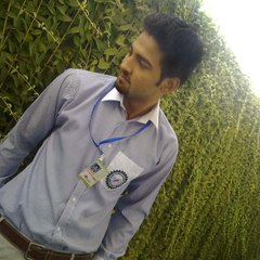 Hamid Mailk