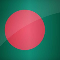 Raqibul Islam Ronee