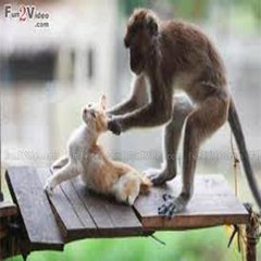 NEW FUNNY PRANKS & FUNNY VIDS