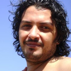 Ahmad S. Azab