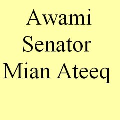 Awami Senator