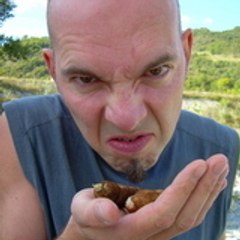 Chetaul