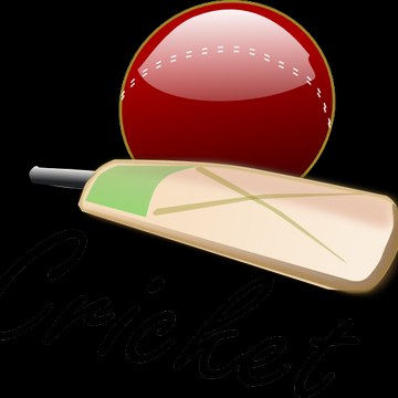Cricket Lovers