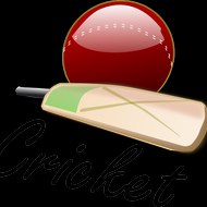 Cricket Lovers