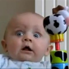 Funny Videos
