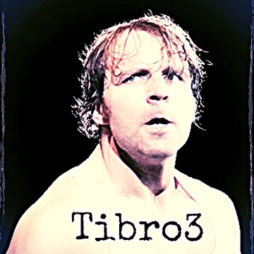 Tibro3