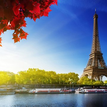 Д. Димитров