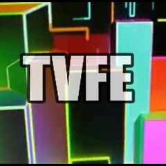 TVFE - O canal da Cidadania