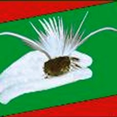 Youth Eye Citizen Journalist Channel