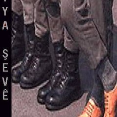 Siya Şevê